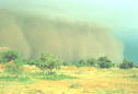 Dust storms blow precious topsoil
