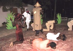 Dance depicting soil biodiversity